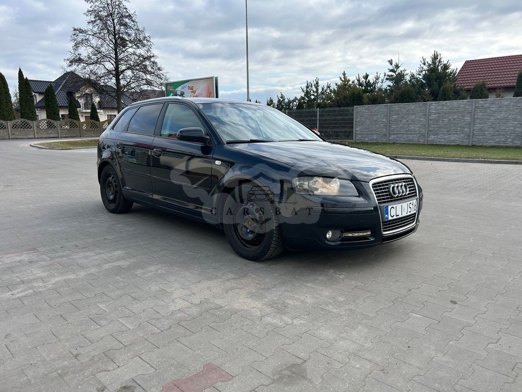 Audi A3 8P 1.9 TDI Ambition 2007