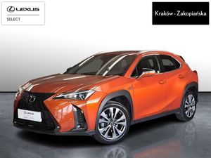 Lexus UX 250h GPF F Sport Design 2WD 2023