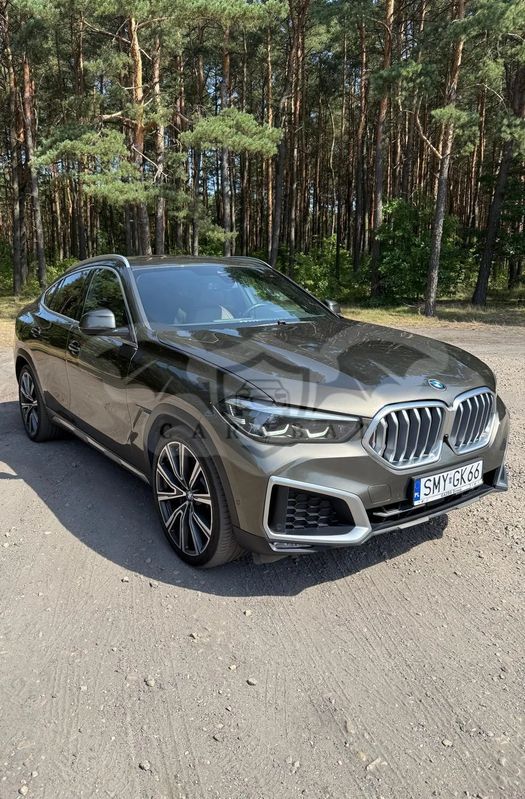 BMW X6 G06 xDrive30d 2019