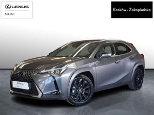 Lexus UX 300h Omotenashi AWD 2024