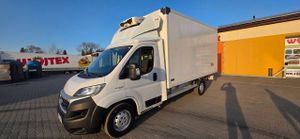 Fiat Ducato 2020