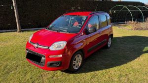 Fiat Panda III 1.2 Young 2014