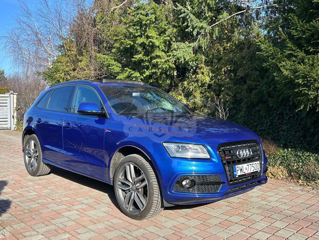 Audi SQ5 2015
