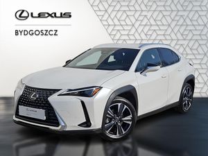 Lexus UX 300h Business 2024