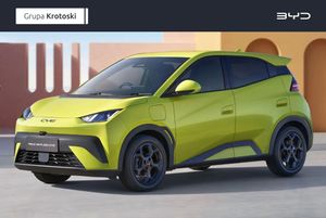 BYD Dolphin 2025