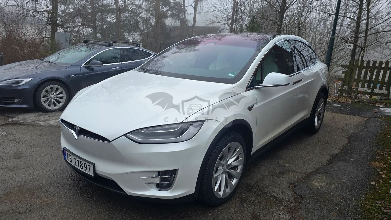 Tesla Model X 2020