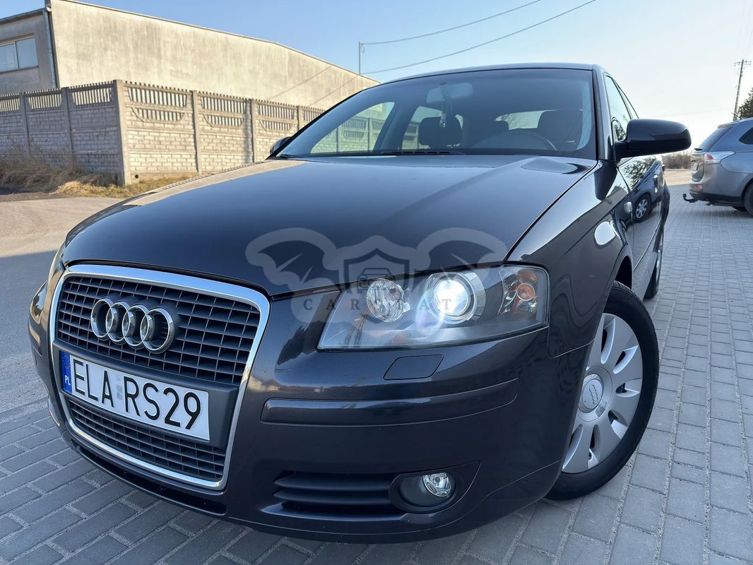 Audi A3 8P 2.0 TDI Attraction 2006