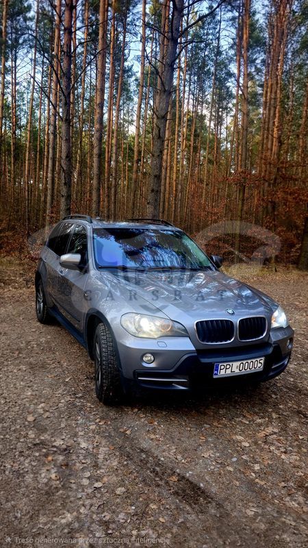 BMW X5 E70 xDrive30d 2009