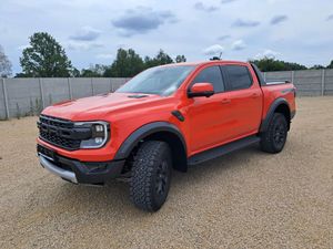 Ford Ranger 2.0 EcoBlue Bi-Turbo 4x4 DC 2025