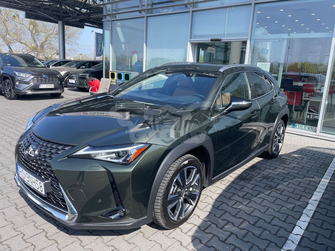 Lexus UX 200 GPF Business 2WD 2019