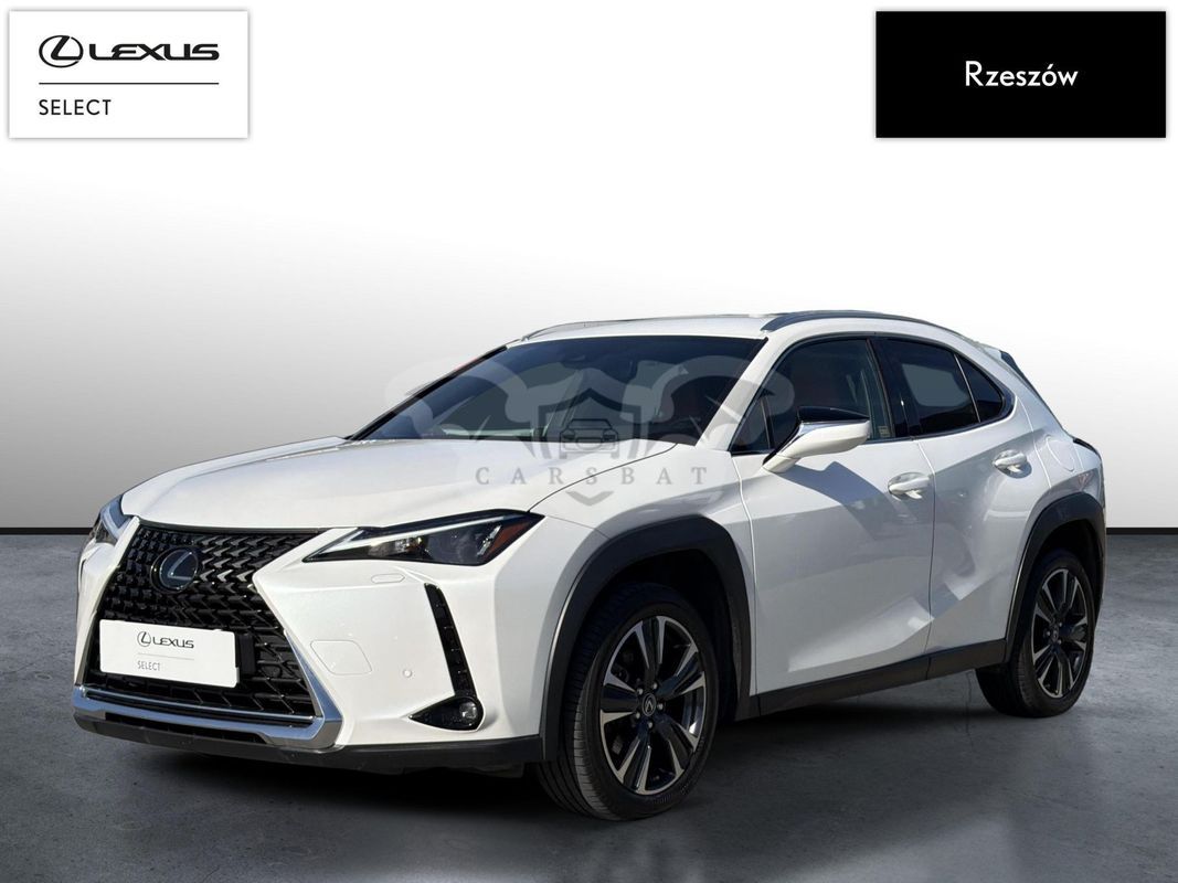 Lexus UX 250h GPF Business 2WD 2023