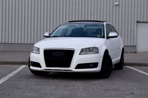 Audi A3 8P 1.9 TDI DPF S line Sportpaket plus 2008