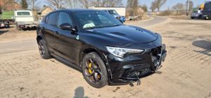 Alfa Romeo Stelvio 2.9 V6 Bi-Turbo Quadrifoglio Niring Q4 2019