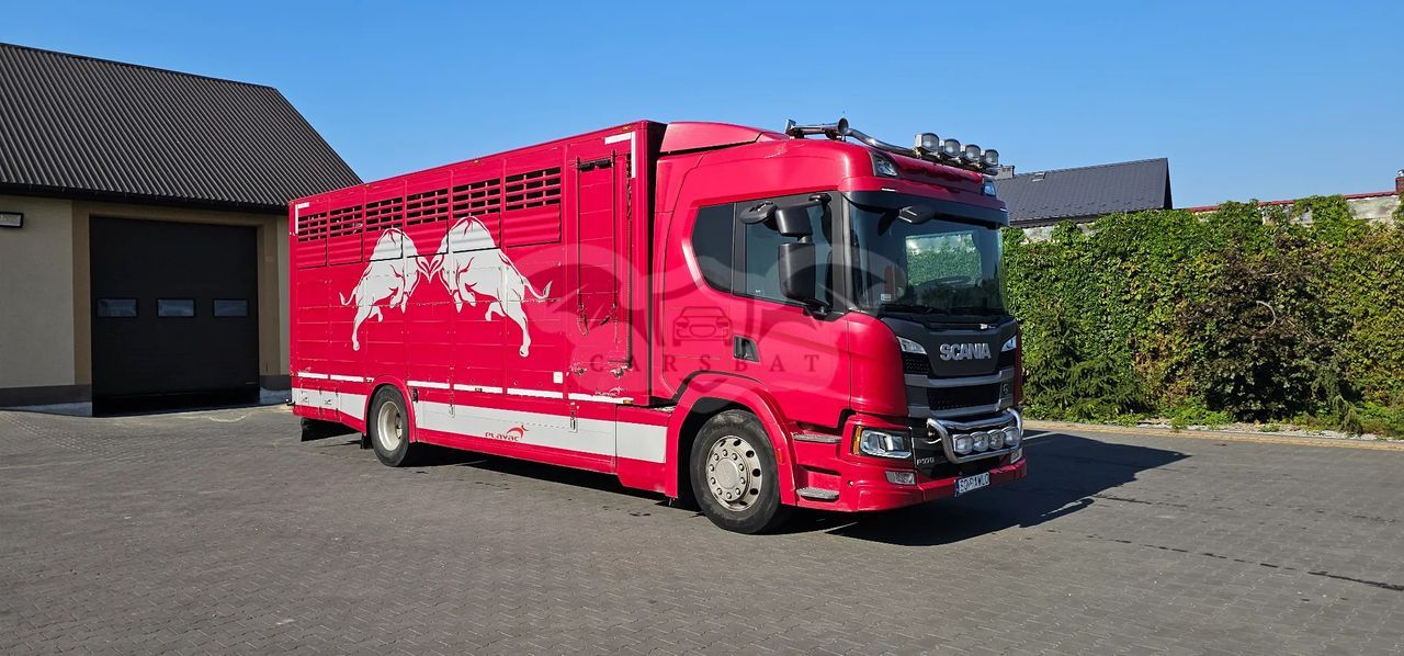 Scania P-series 2019