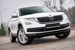 Skoda Kodiaq I 2.0 TDI 4x4 Business DSG 2019