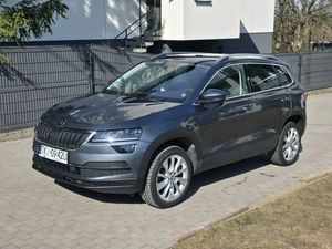 Skoda Karoq 2019