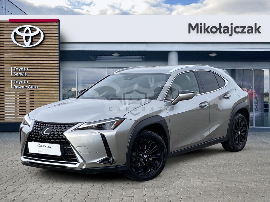 Lexus UX 250h GPF Business 2WD 2023