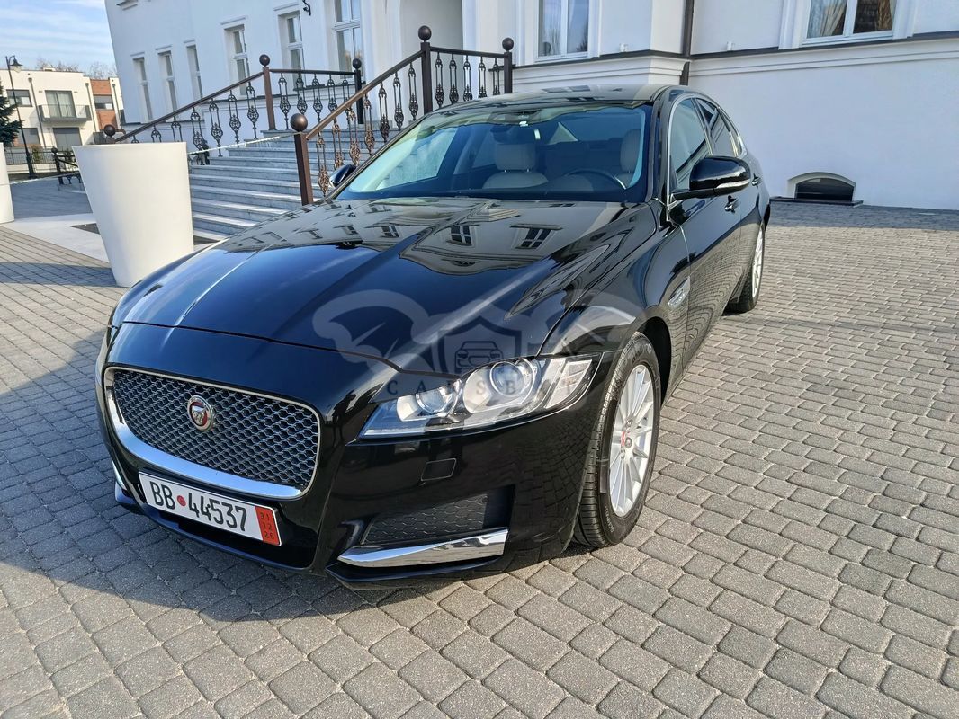 Jaguar XF X260 E-Performance Portfolio 2016