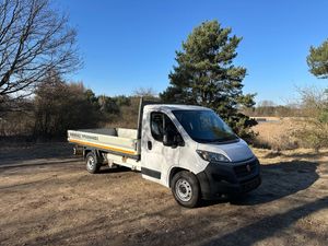 Fiat Ducato 2021
