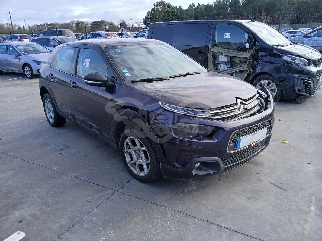 Citroën C4 Cactus PureTech 110 Stop&Start Shine 2019
