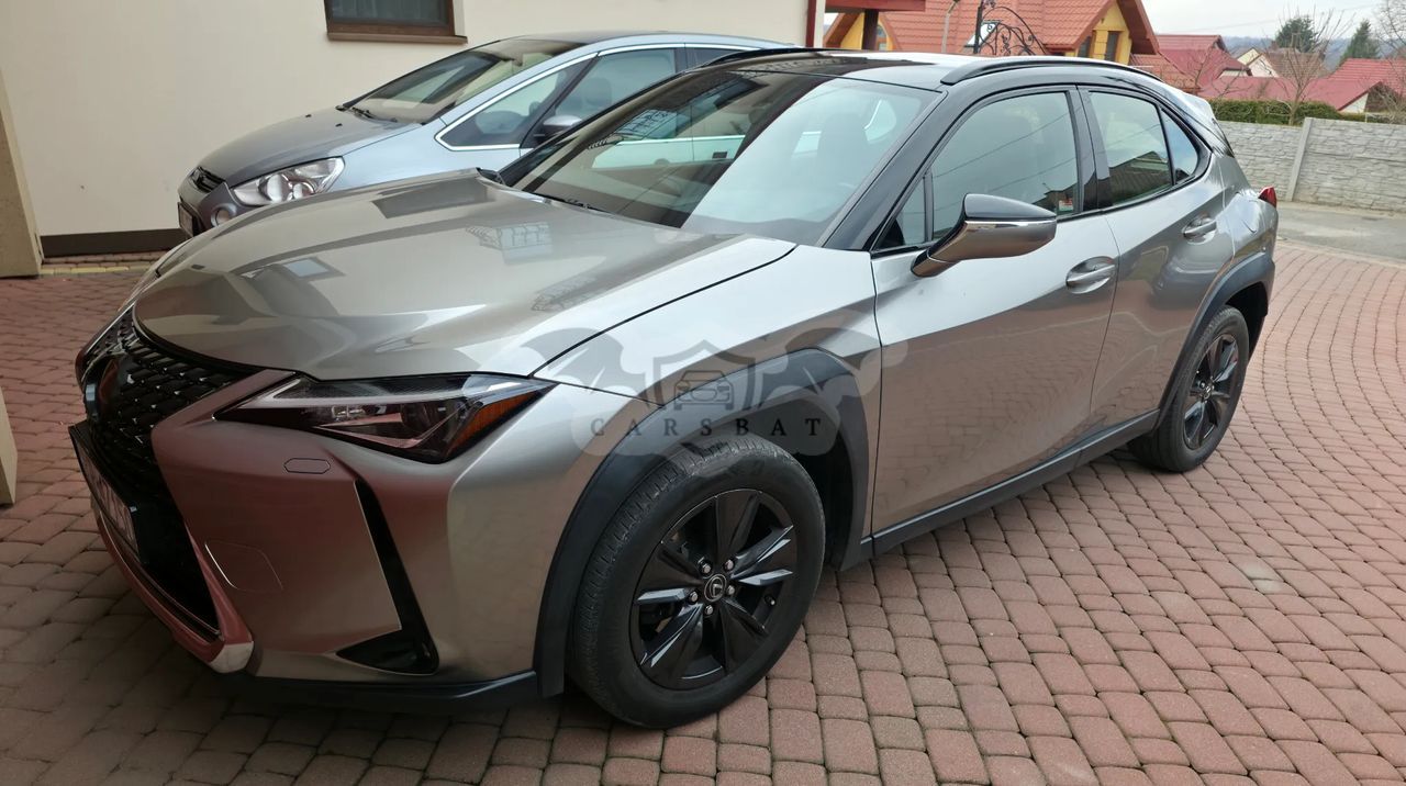 Lexus UX 200 GPF Pure 2WD 2019