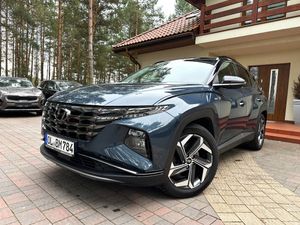 Hyundai Tucson IV 1.6 T-GDi 48V Platinum 4WD DCT 2021