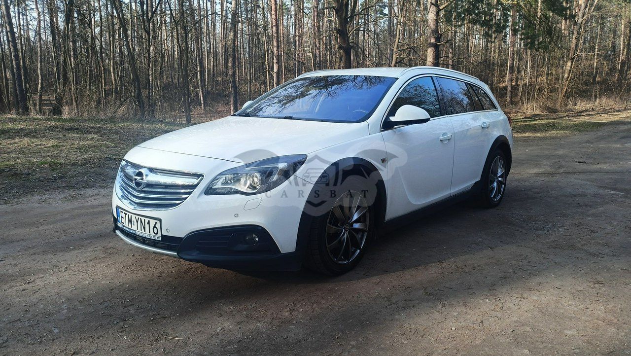 Opel Insignia A 2.0 CDTI Executive 4x4 S&S 2013