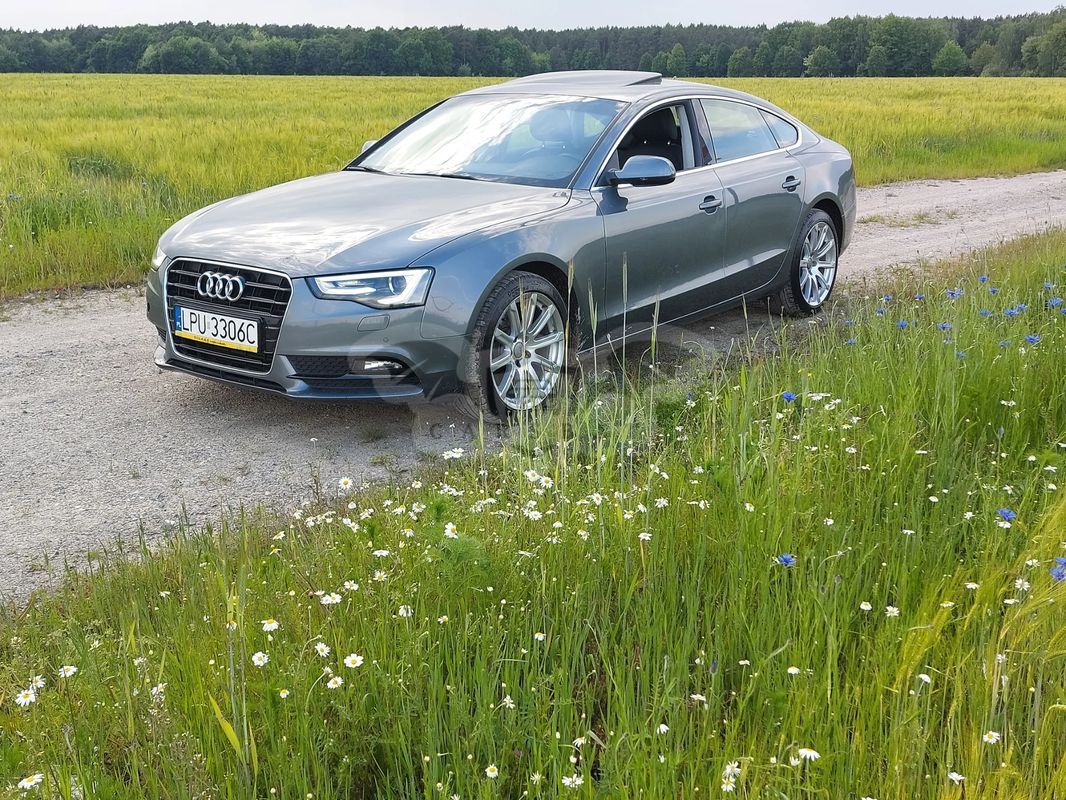 Audi A5 8T 2.0 TDI clean diesel 2014