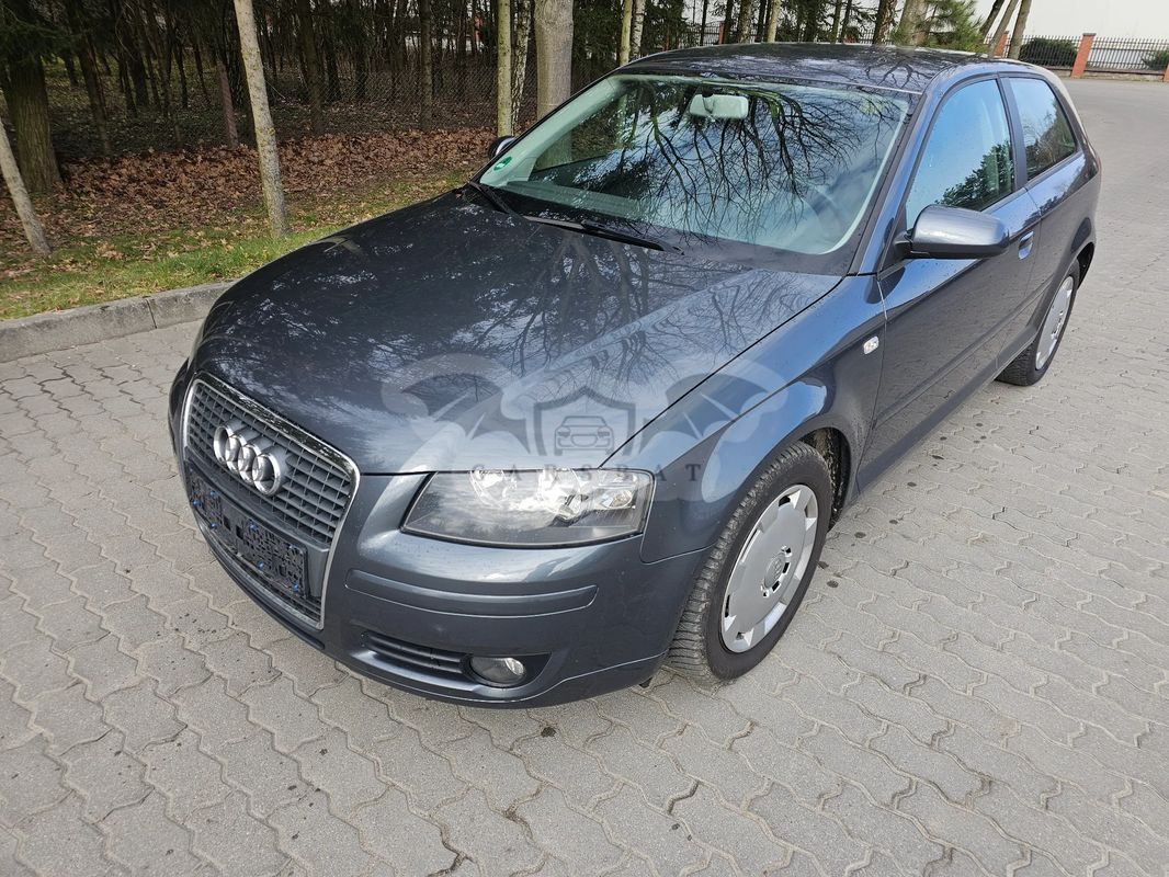 Audi A3 8P 1.6 Attraction 2008