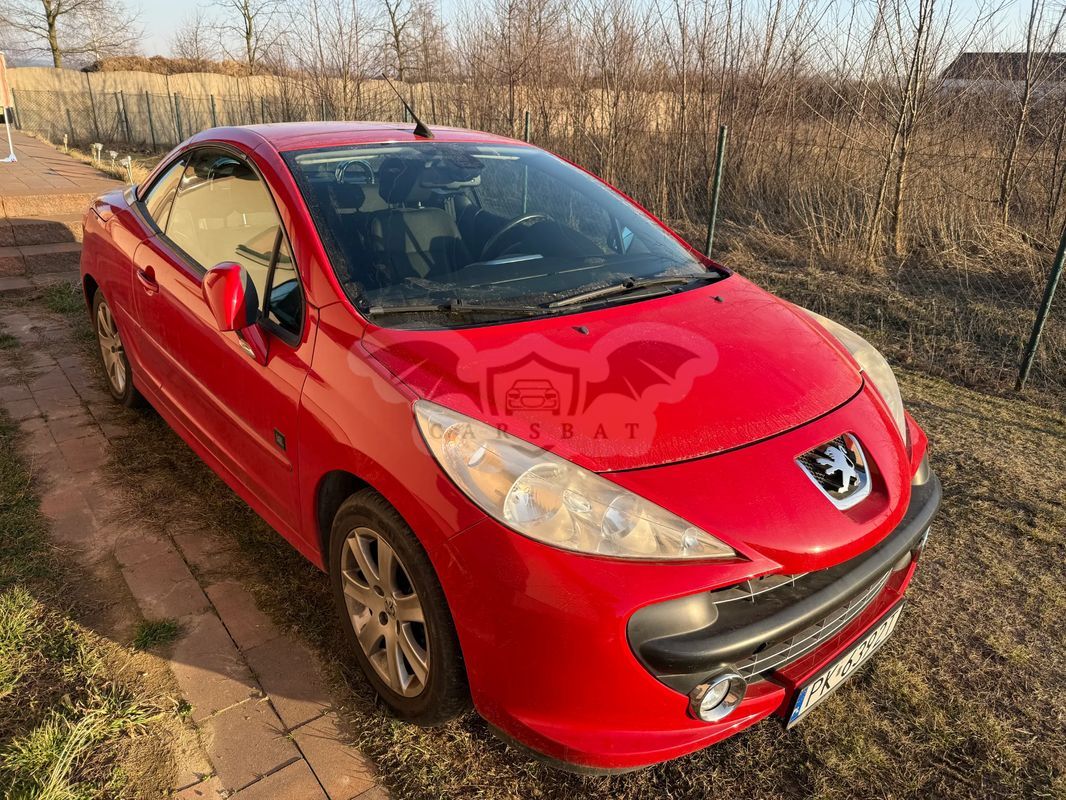 Peugeot 207 2009