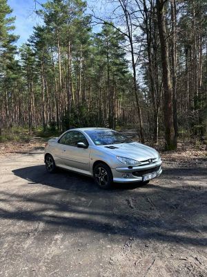 Peugeot 206 1.6 2005