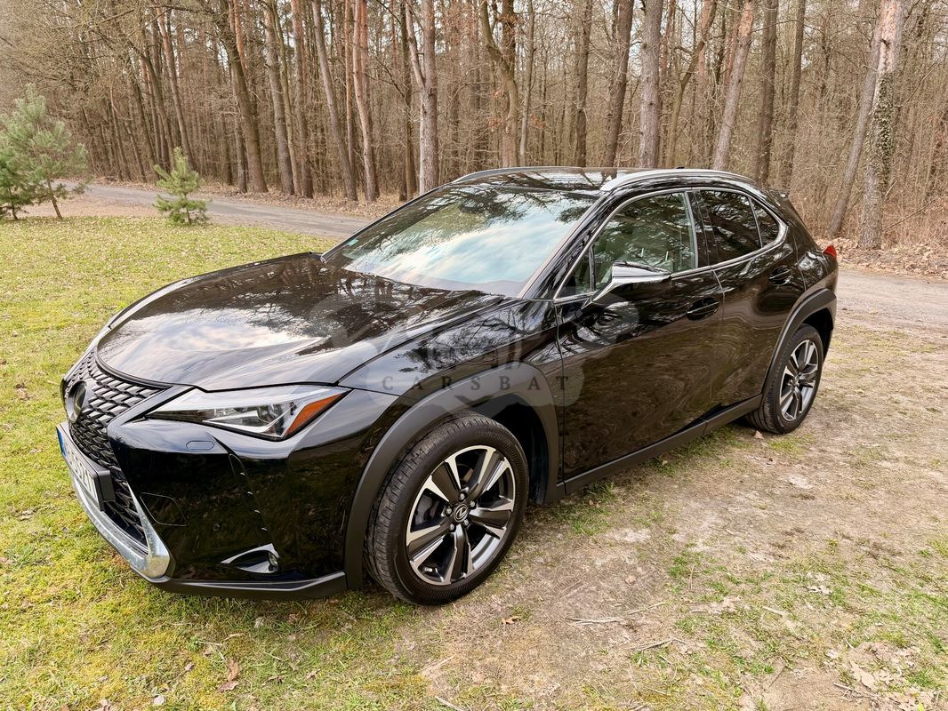 Lexus UX 2019