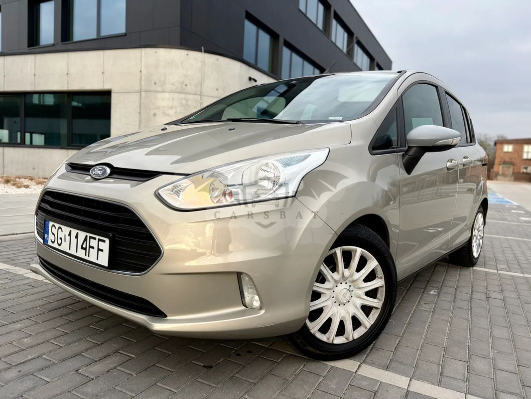 Ford B-Max 1.0 EcoBoost Ambiente 2013