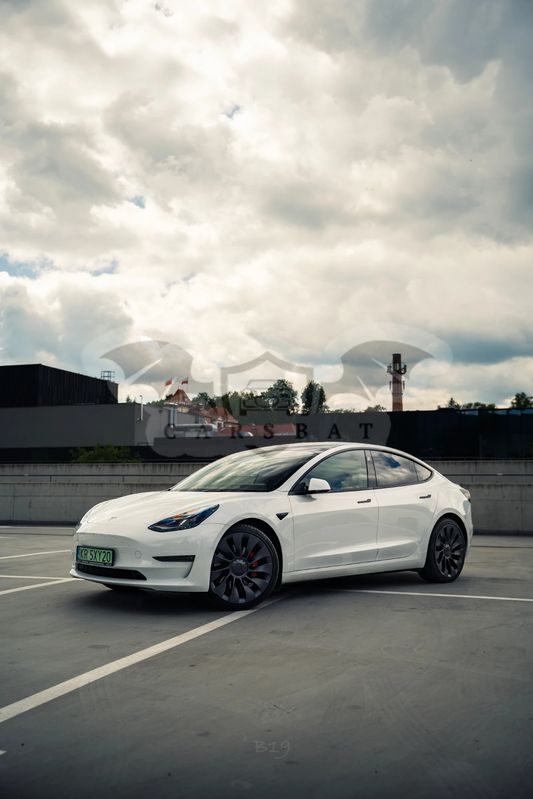 Tesla Model 3 Performance AWD 2022